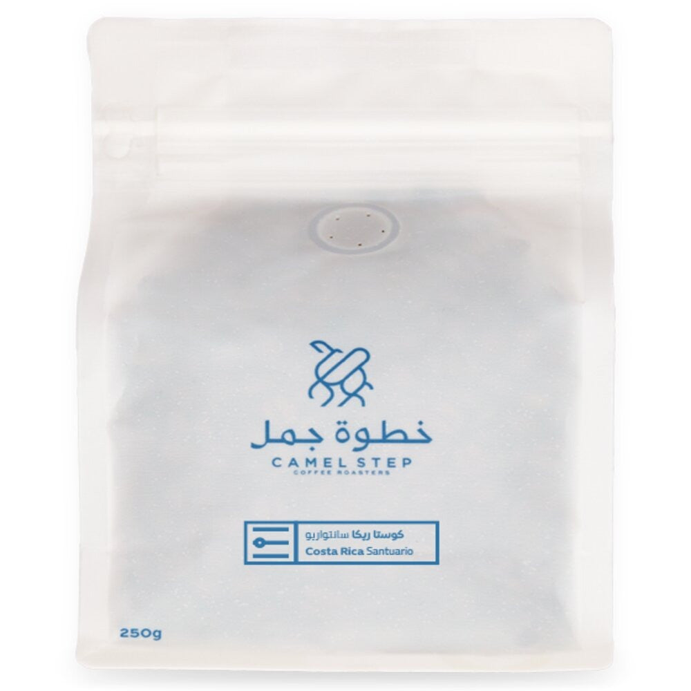 Costa Rica Santuario Camel Step