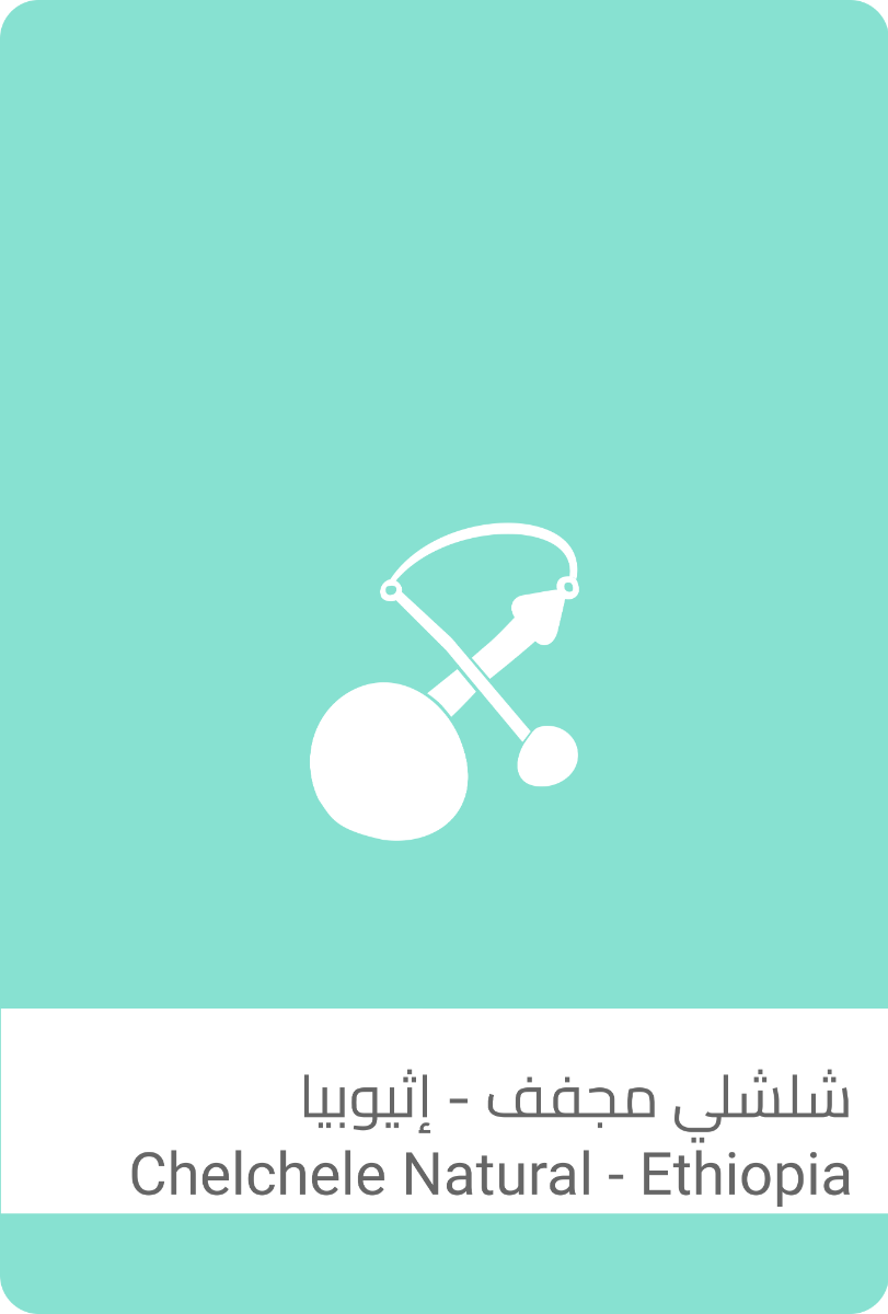 سلالات - شيلي إثيوبي مجفف