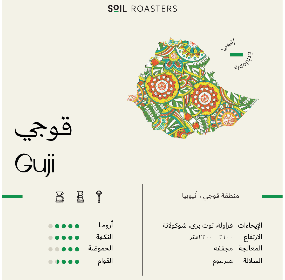 Gochi Coffee from Soil Roaster