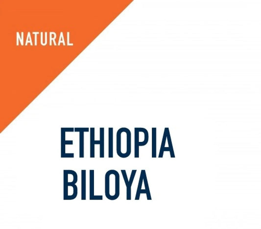 Ethiopian Coffee Biloya Dried from Adami Roaster