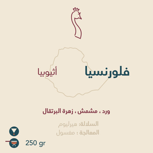 Florencia Coffee - Ethiopia from Peacock Roaster