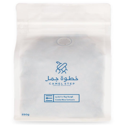 Costa Rica Santuario Camel Step