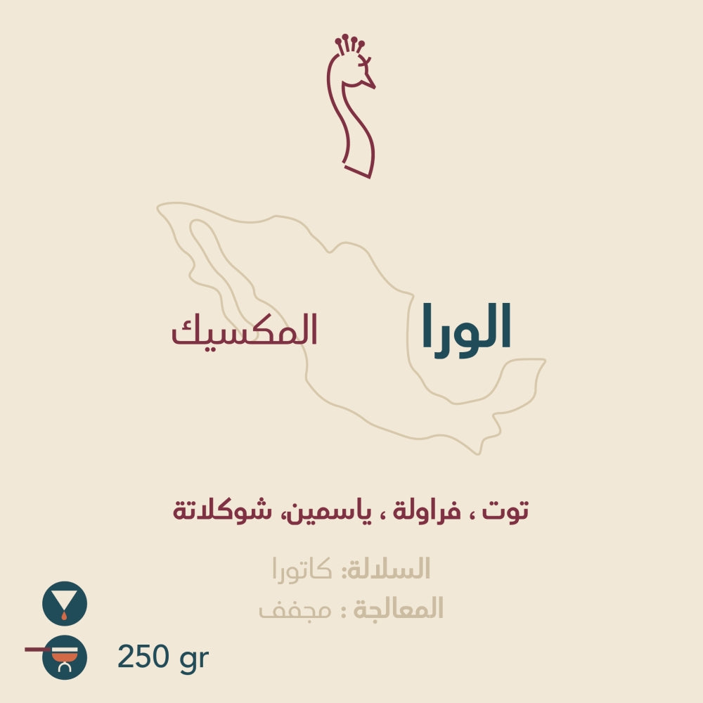 Alora Coffee - Mexico from Peacock Roaster