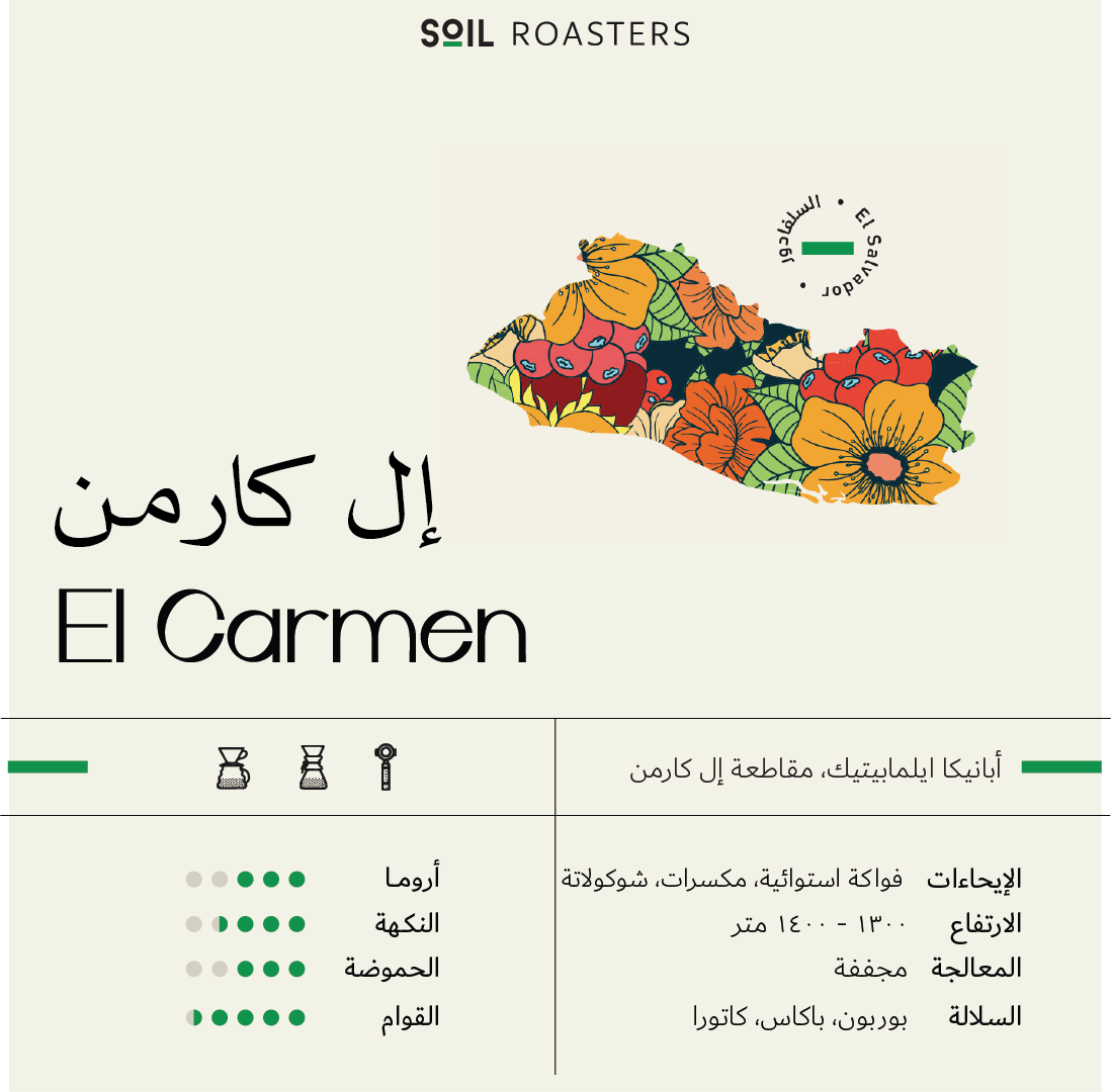 El Carmen Coffee from Soil Roaster