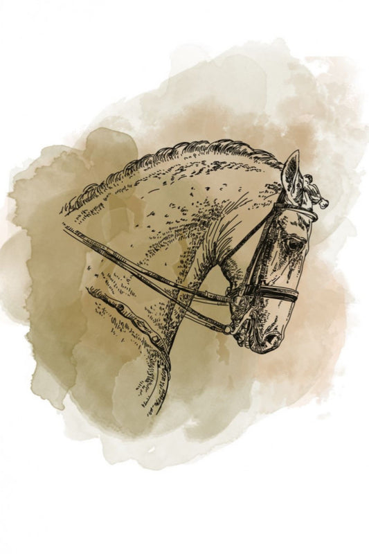 Colombia Coffee Beans - Arrogate from the Coffee Factory