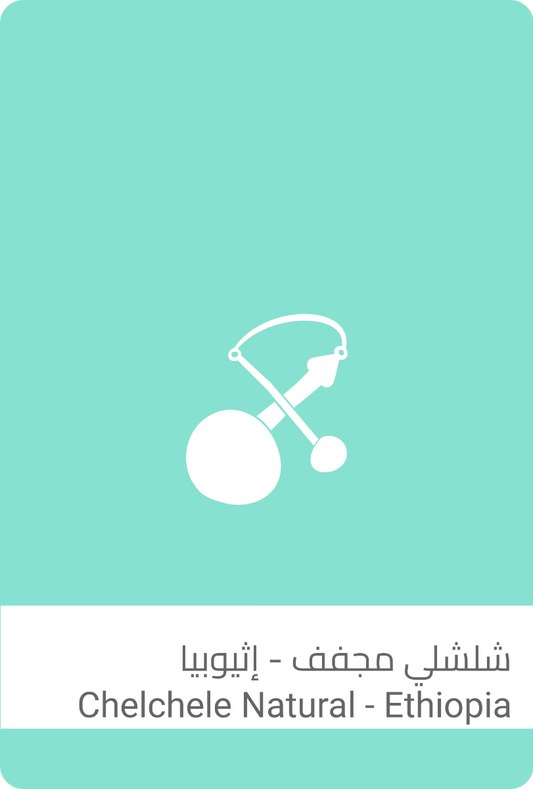 Strains - Dried Ethiopian Shelley