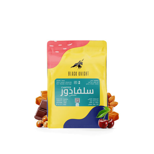 Black Knight - Salvador Xavi